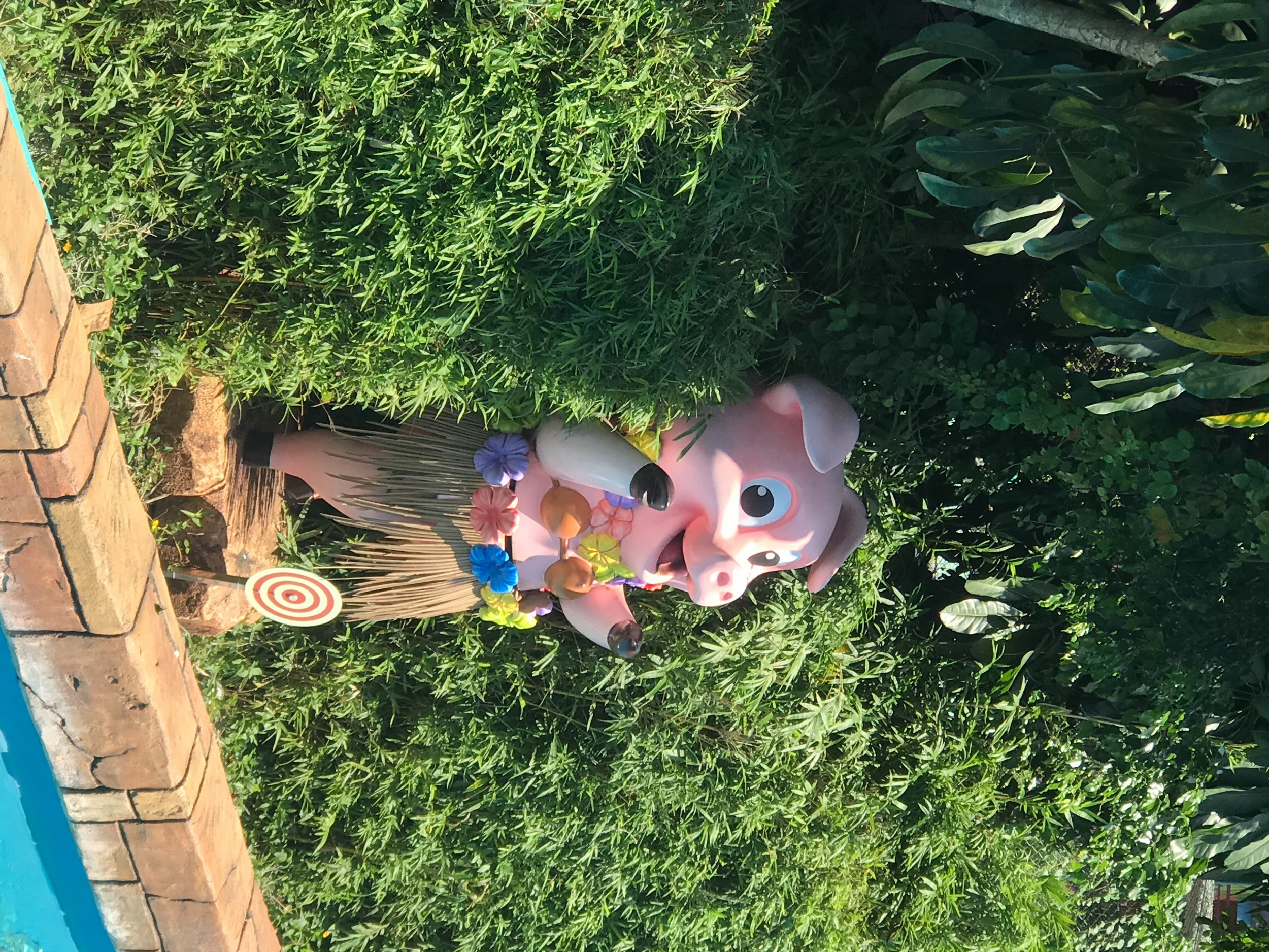 圖片關鍵詞
