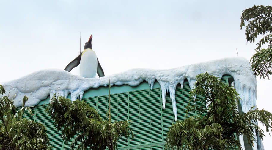 <u>Zhuhai Chime Long Ocean </br>Kingdom Penguin Museum</u>