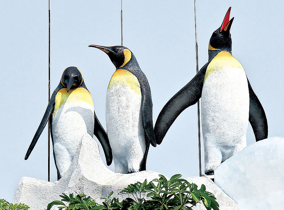 <u>Zhuhai Chime Long Ocean </br>Kingdom Penguin Museum</u>